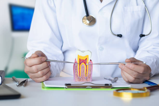 Best Emergency Care for Gum Disease in Luck, WI